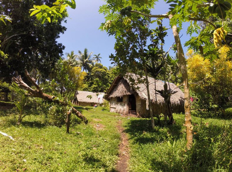 Vatthe Conservation Area, Near Luganville, Espiritu Santo, Vanuatu